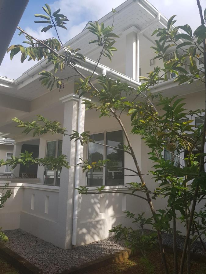 Maison Cattleya Selfcatering Apartment Anse Royale Exterior foto